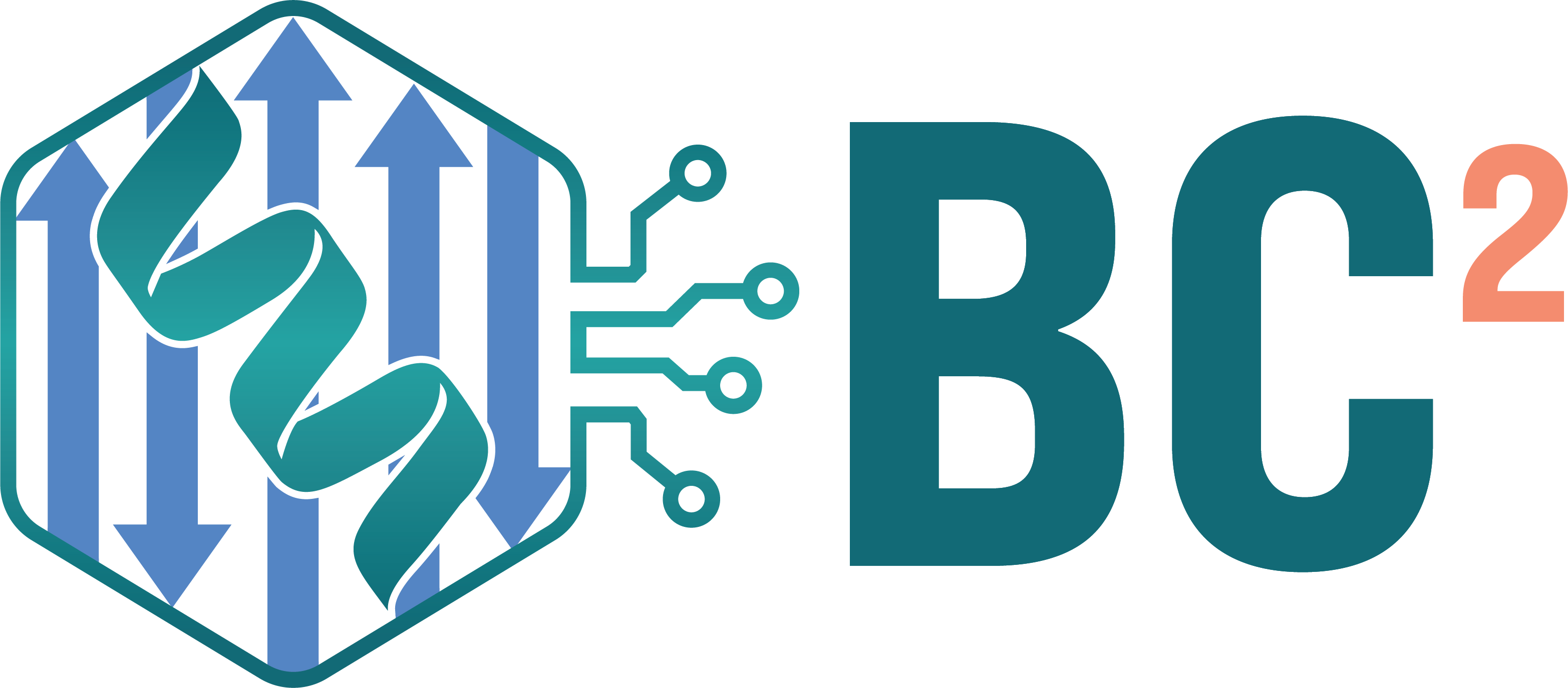 BindCraft2 logo