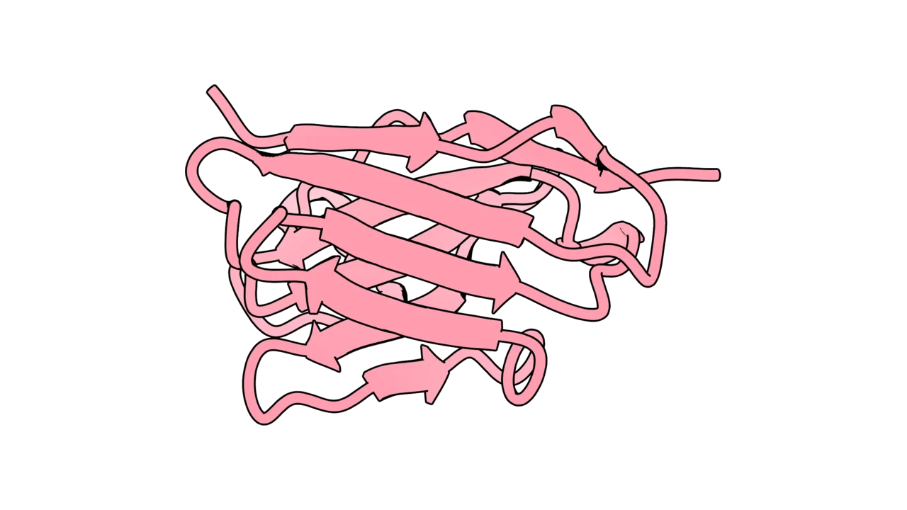VHH (single-domain antibody)