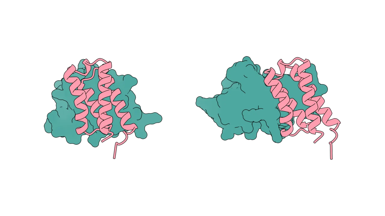 Multi-specific, several proteins