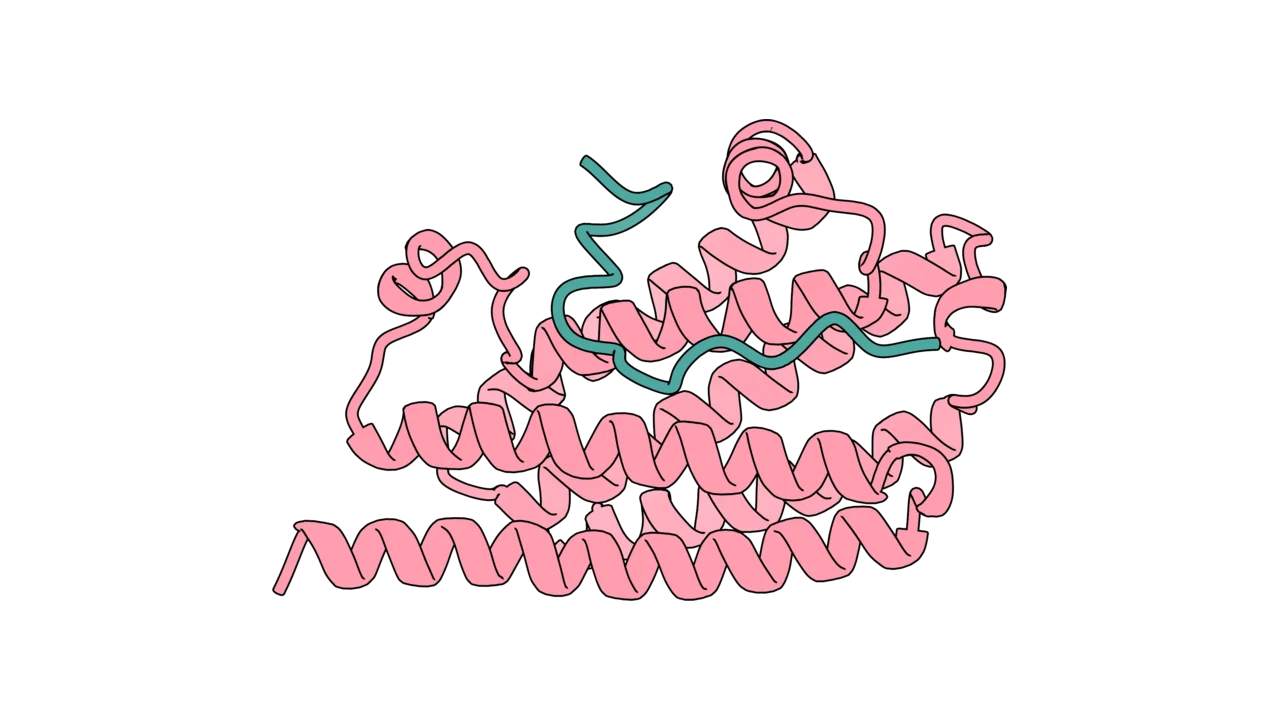 Disordered region or motif