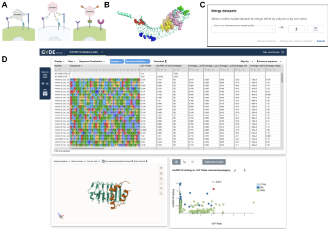 GYDE: A collaborative drug discovery platform for AI-powered protein design and engineering