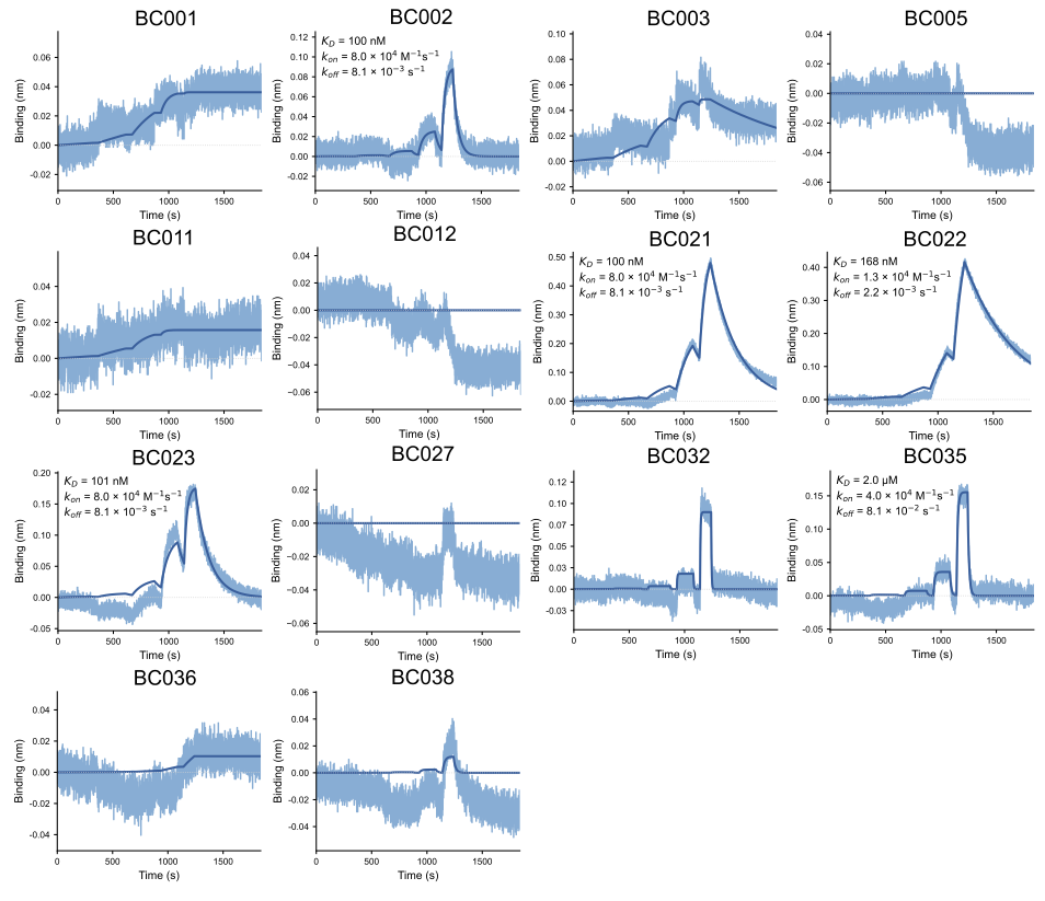 Artificial initiation codons and engineered initiator tRNAs enable N-terminal noncanonical amino acid incorporation in intact cell-free translation systems