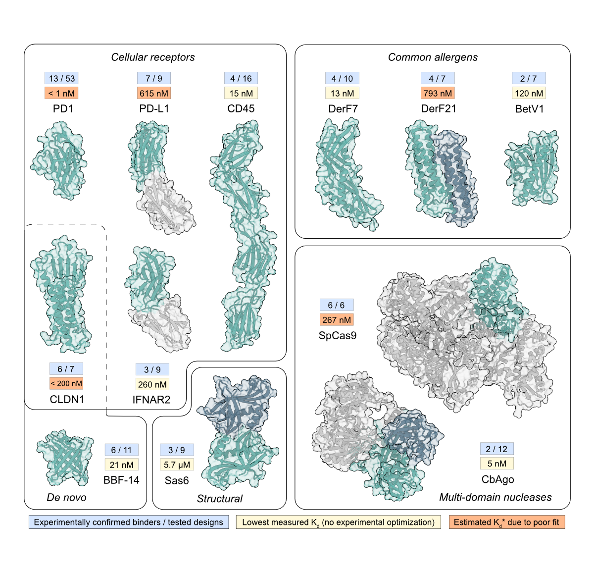 One-shot design of functional protein binders with BindCraft