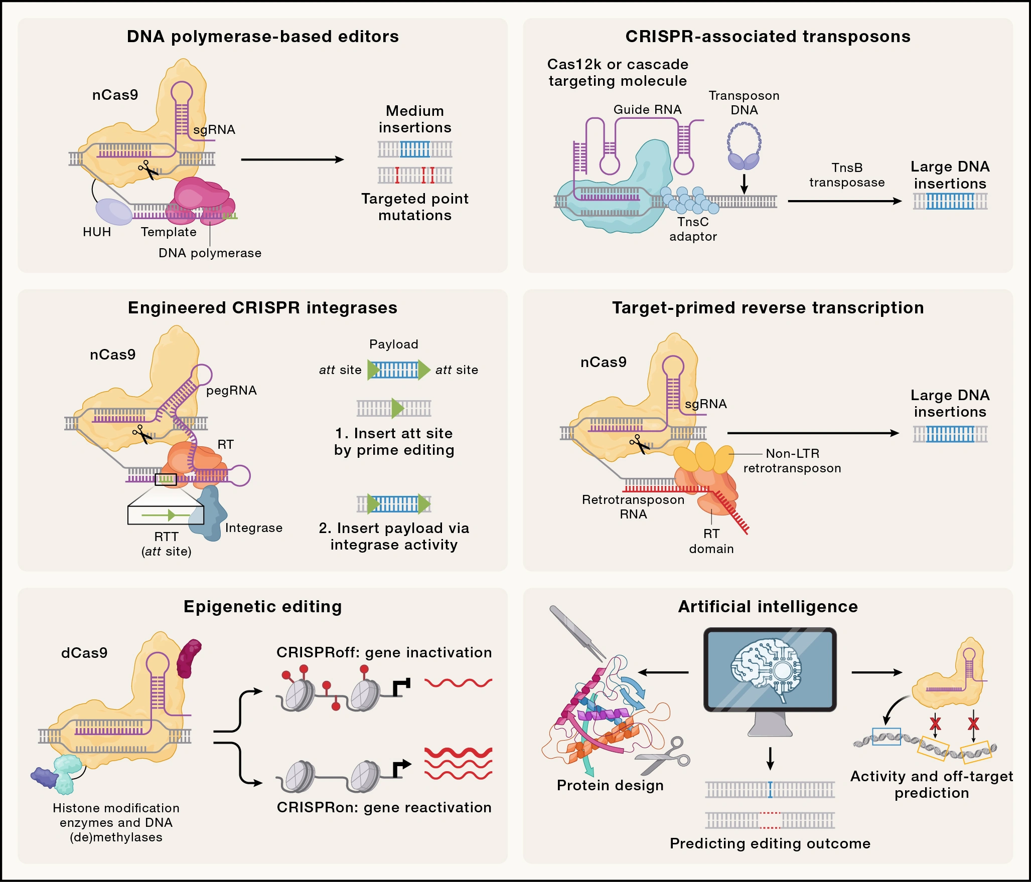 Past, present, and future of CRISPR genome editing technologies