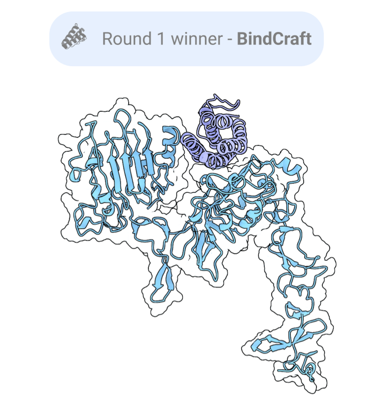 Crowdsourced Protein Design: Lessons From the Adaptyv EGFR Binder Competition